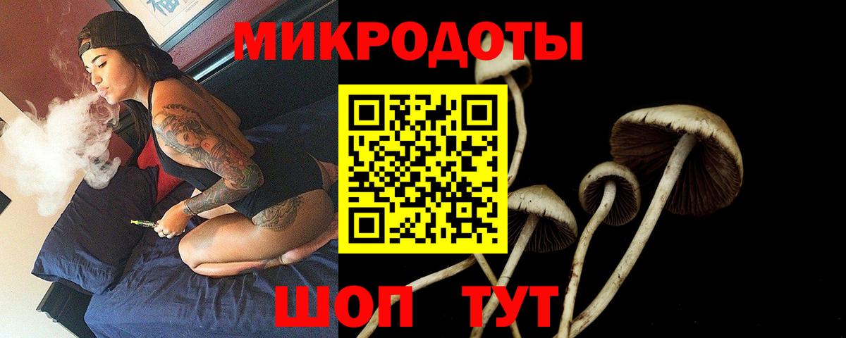 Псилоцибиновые грибы Psilocybine cubensis  Псилоцибиновые грибы MAGIC MUSHROOMS  Вход с VPN  Конаково 